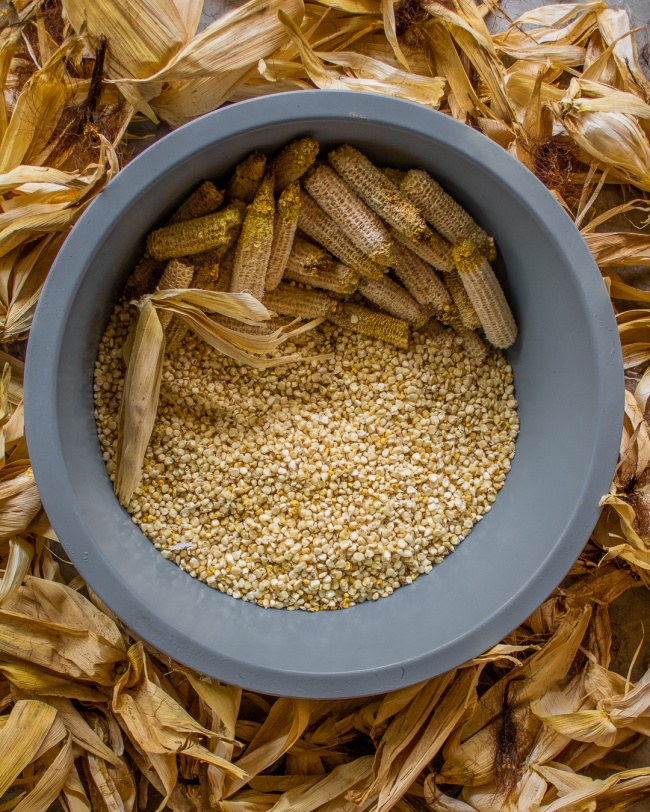 foto:JOSE ENRIQUE REYES HUERTA  - lo hecho en México