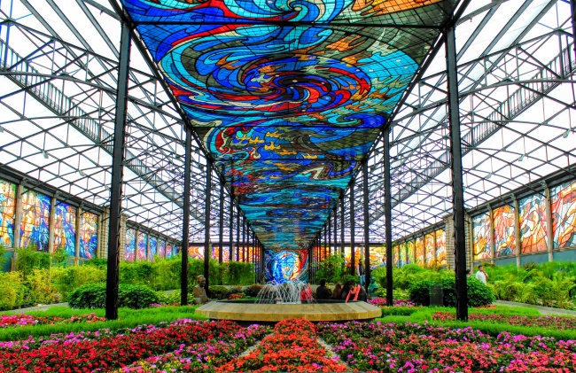 foto:Ma.Cristina Guridi Luna  - lo hecho en México