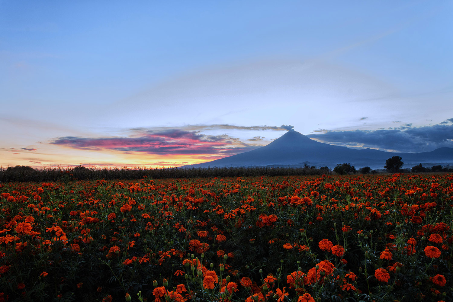 foto:Yaninee Ortega mendoza  - lo hecho en México