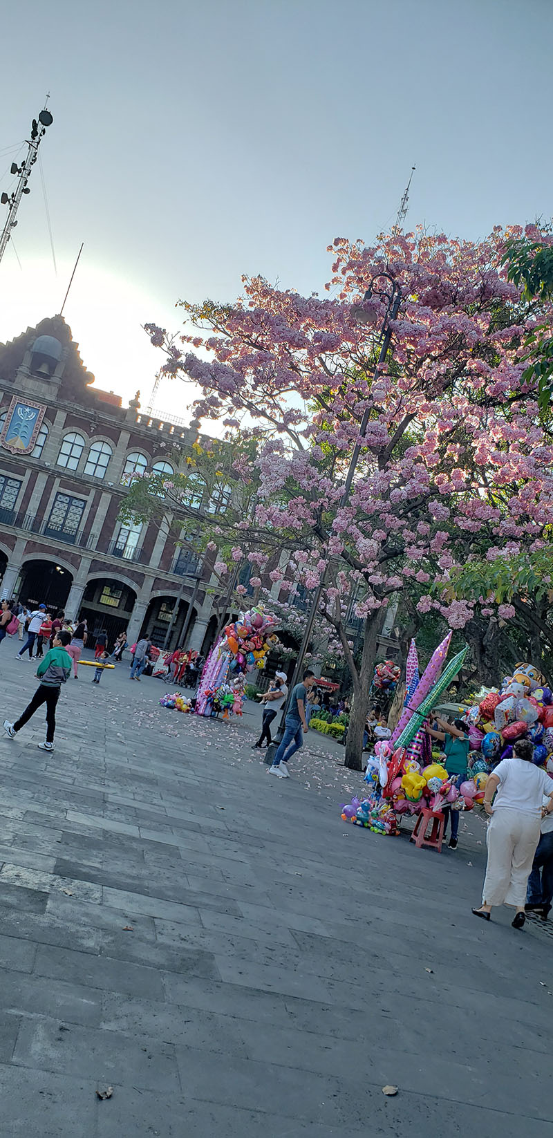 foto:Maria Isabel Dominguez Lopez   - lo hecho en México