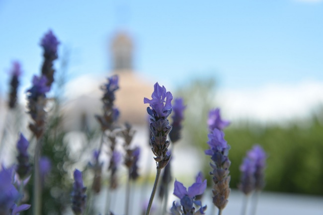 foto:juan rodriguez  - lo hecho en México