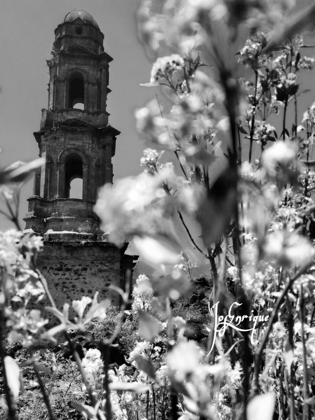 foto:José Enrique Cárdenas González  - lo hecho en México