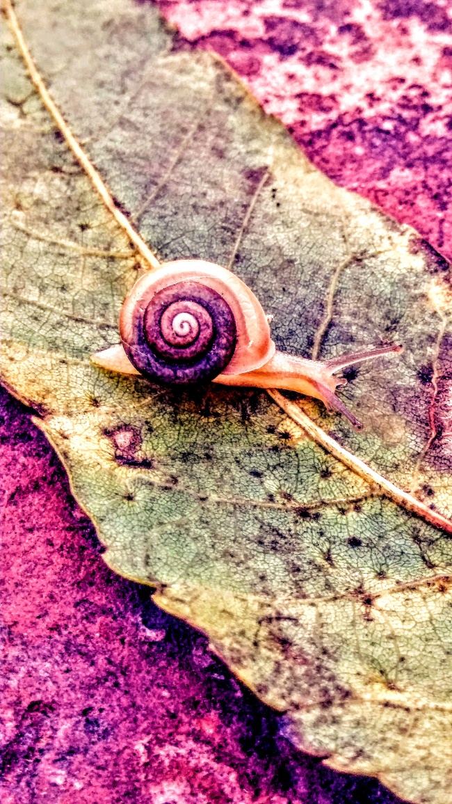 foto:Enrique Martinez Morales  - lo hecho en México