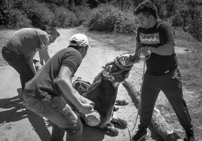 foto:Miguel Pedraza Moreno  - lo hecho en México