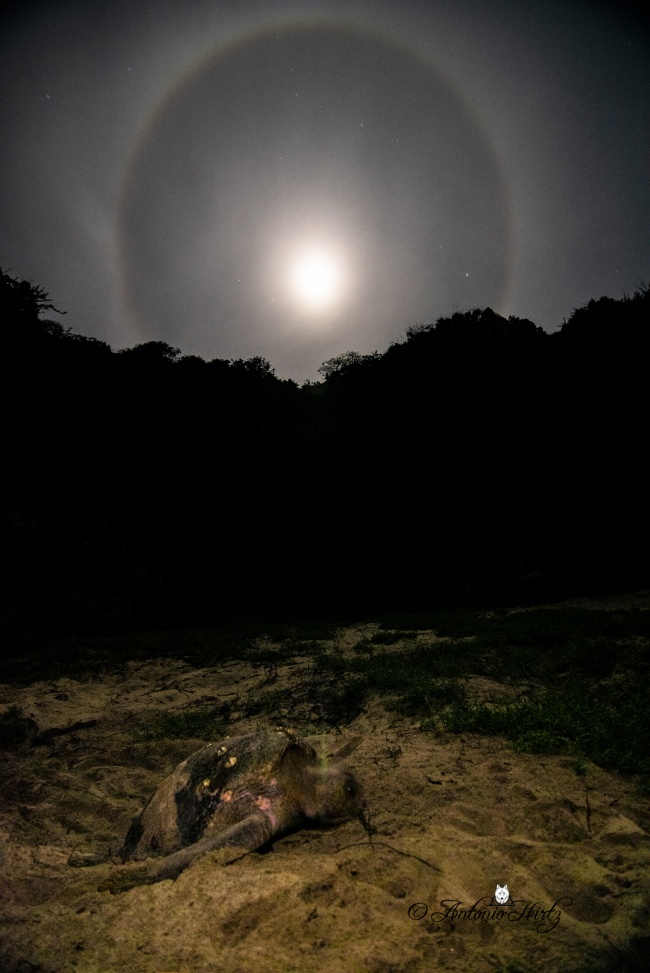 foto:antonio de Jesus Martinez Martinez  - lo hecho en México