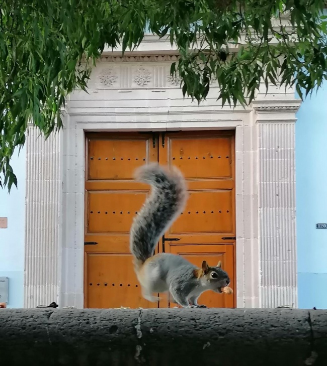 foto:Rocío del Carmen Alvarado Ponce   - lo hecho en México