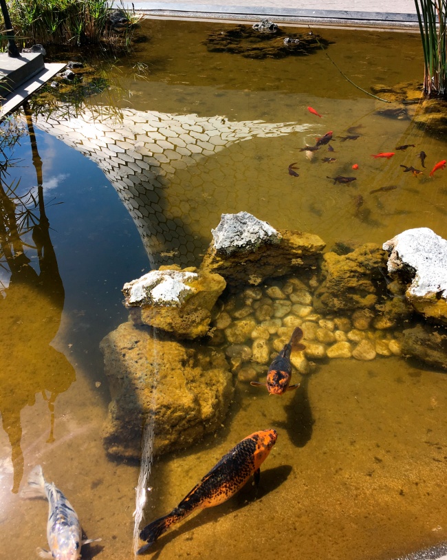 foto:Iván Bonola Maravilla  - lo hecho en México