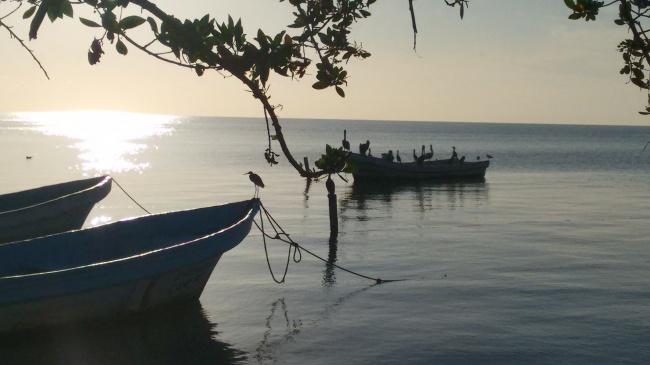 foto:Cesar Camacho  - lo hecho en México