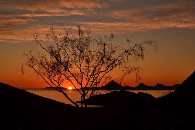 foto:Aleida Mayeli Garay Dueñas  - lo hecho en México