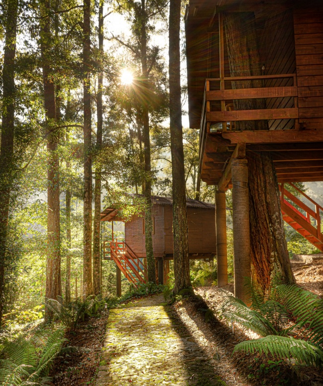 foto:Arturo García Domínguez  - lo hecho en México