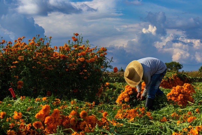 foto:LIZBETH BOJORGES BARBA  - lo hecho en México