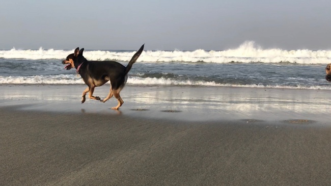 foto:Norberto Sanchez Sanchez  - lo hecho en México