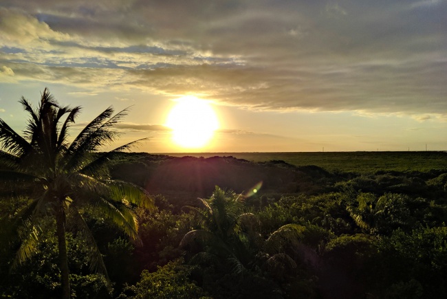 foto: Carlos Minutti Martinez  - lo hecho en México