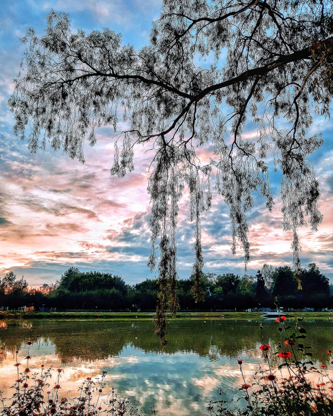 foto:Francisco Domínguez Acuña  - lo hecho en México