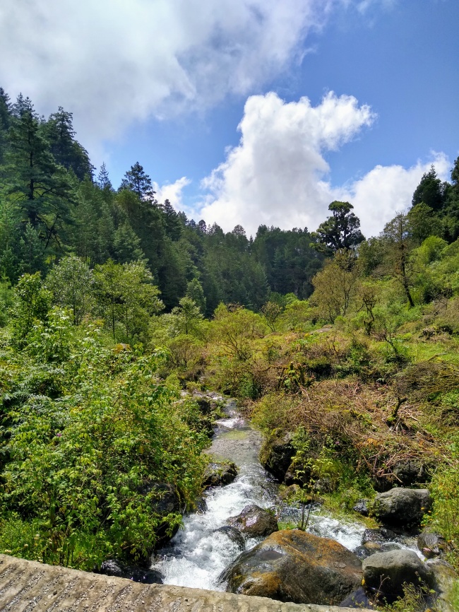 foto:Rodrigo Solís Morales  - lo hecho en México