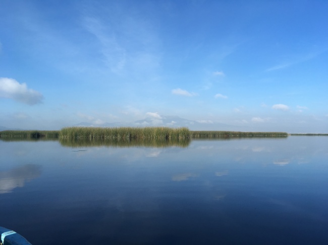 foto:Daniela Espinosa Ruiz  - lo hecho en México