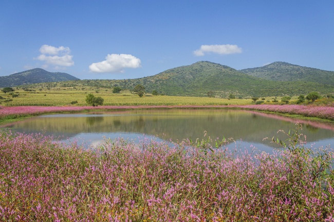 foto:CLARA AGUILAR OLVERA  - lo hecho en México