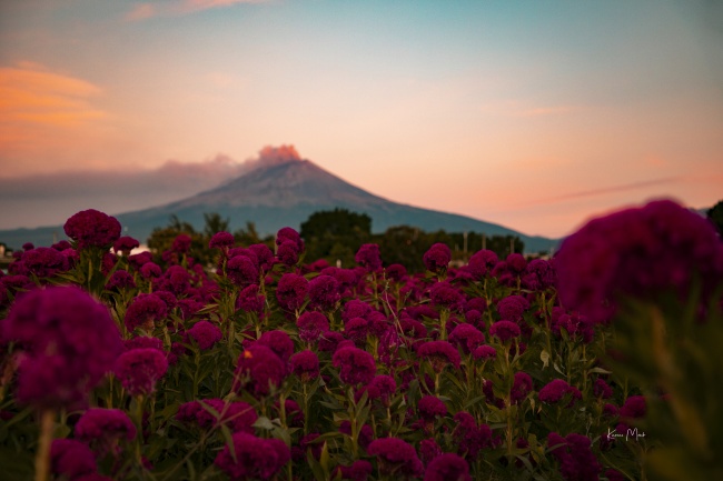 foto:Karen Moncada  - lo hecho en México