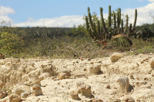 foto:FERNANDO PEREZ PERALTA  - lo hecho en México
