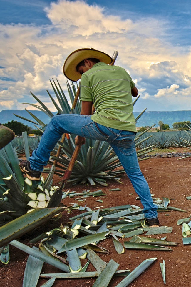 foto:Cuauhtémoc Pacheco Díaz  - lo hecho en México