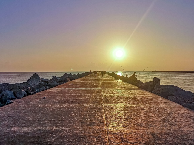 foto:Gustavo Echavarria Castillo  - lo hecho en México