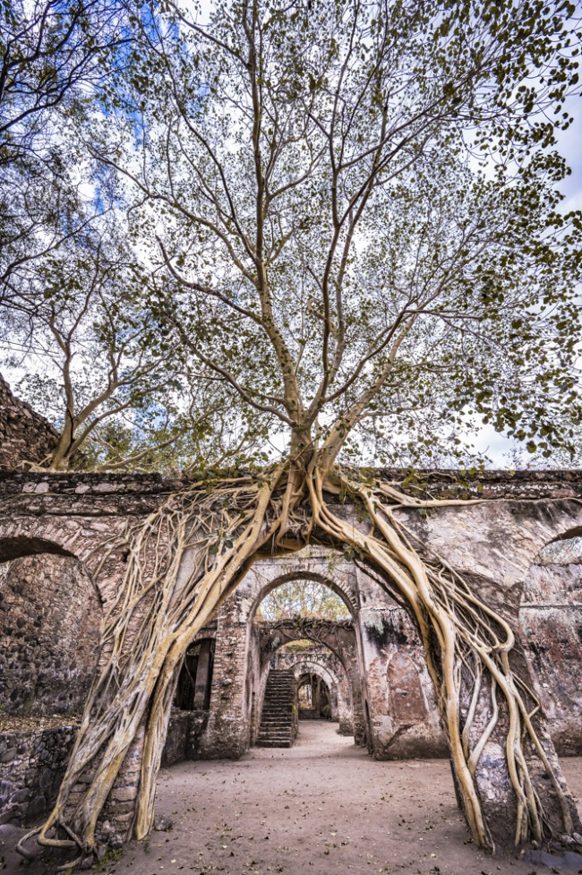foto:Gabriel Pelusi de Icaza  - lo hecho en México