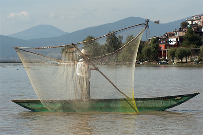 foto:MARCELA FUENTES JIMENEZ  - lo hecho en México