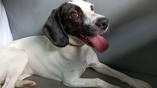 foto:DIEGO LUCIANO GUZMÁN JORGE  - lo hecho en México