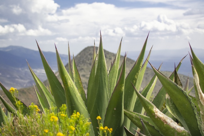 foto:Everardo Leal Salinas  - lo hecho en México