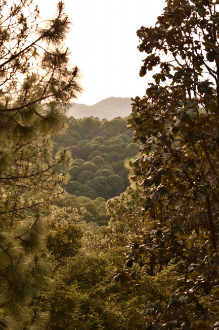 foto:Eréndira Jacqueline Sedano quirarte  - lo hecho en México