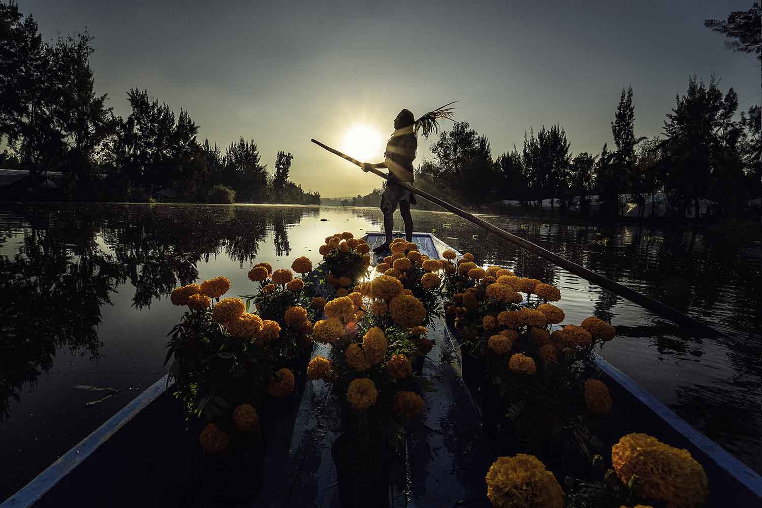 foto:JESUS ALEJANDRO VILLANUEVA LUNA  - lo hecho en México
