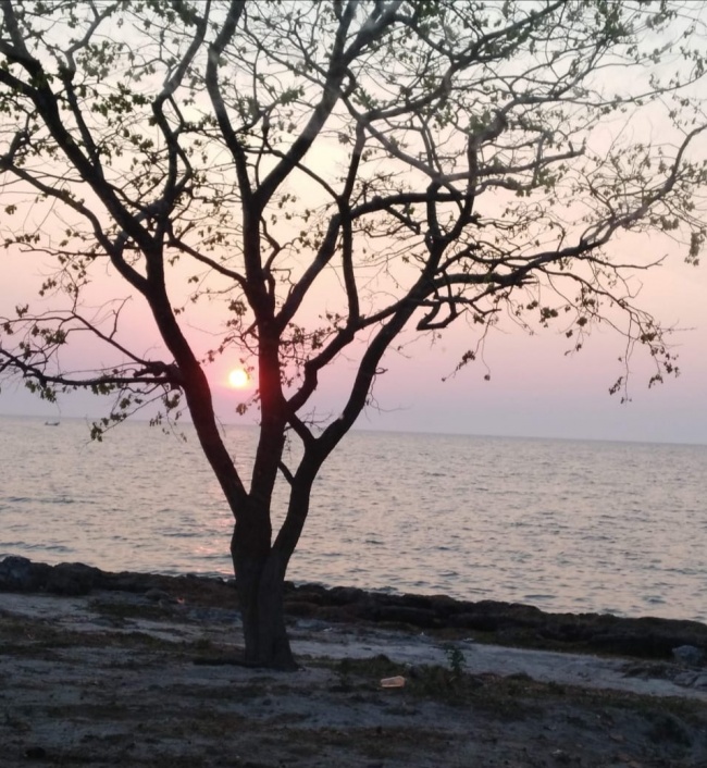 foto:Sandra Blanca Name Arroyo  - lo hecho en México