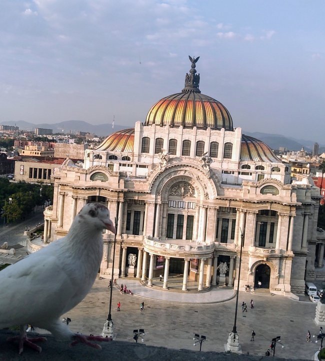 foto:Maria lucero ortega barraza  - lo hecho en México