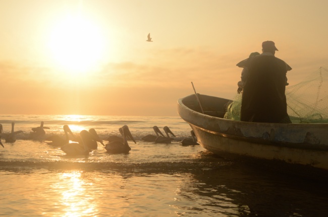 foto:Oscar Eduardo Pérez Jácome  - lo hecho en México