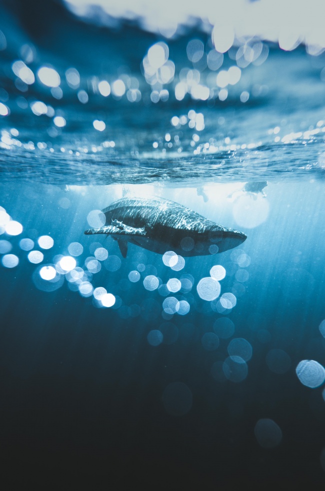 foto:Miguel Ángel Guillermo  - lo hecho en México