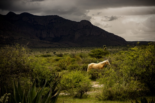 foto:Raymundo Alanis Reyna  - lo hecho en México