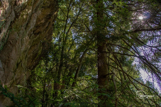 foto:Zacharias Wolf Espinosa Mireles  - lo hecho en México