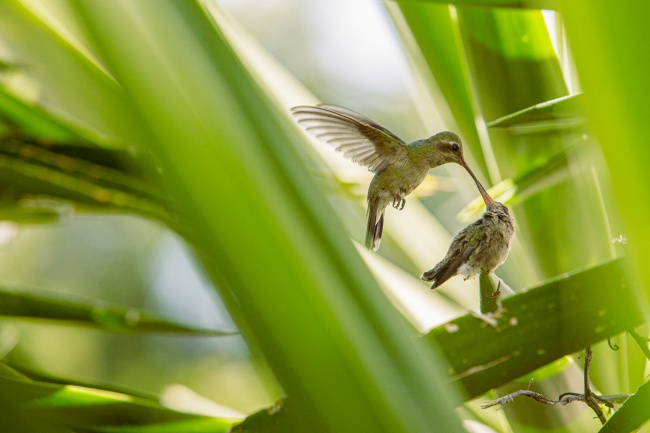 foto:CARLOS GILBERTO TORRES CAÑEDO  - lo hecho en México