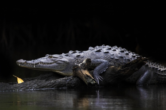 foto:Tamara Blazquez Haik  - lo hecho en México