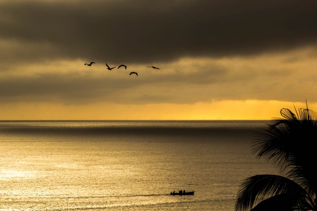 foto:Mónica Gpe. Salazar Arriaga  - lo hecho en México
