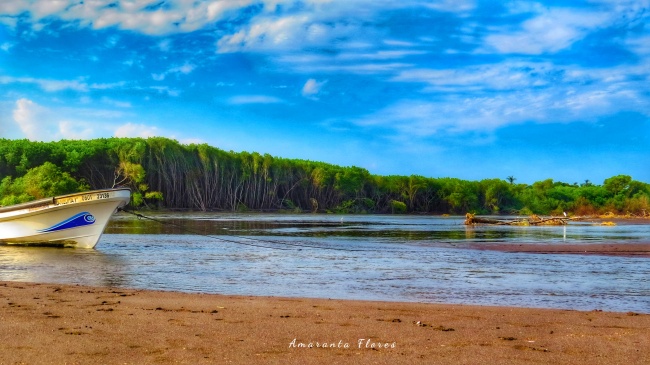 foto:Uelneci Amaranta Flores Silva   - lo hecho en México