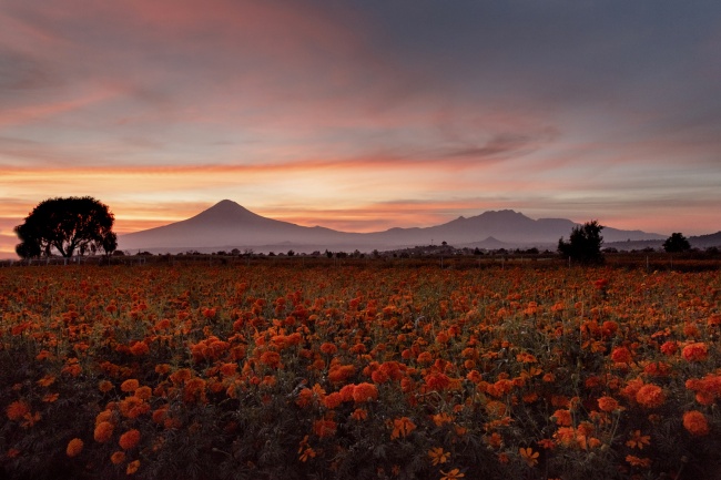 foto:José Francisco Alcalá Islas  - lo hecho en México