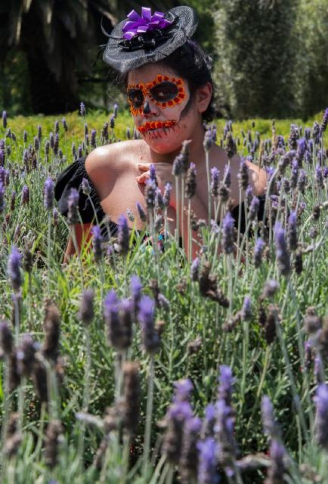 foto:Andrea Alejandra Labarrere Hernández  - lo hecho en México