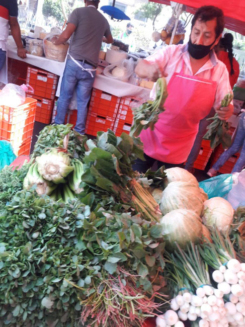 foto:Paola Andrea Mejia Zuluaga  - lo hecho en México