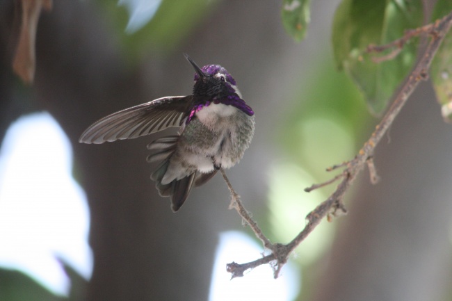 foto:María Guadalupe Alemán González  - lo hecho en México