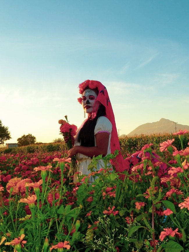foto:Alex Jacinto Mezquite Charrez  - lo hecho en México