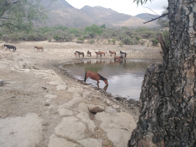 foto:Margarita Martha Quevedo Bata  - lo hecho en México