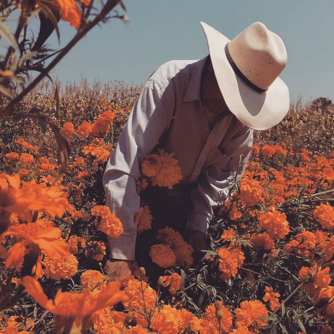 foto:Gibrany jazzmeleth becerril Saenz   - lo hecho en México