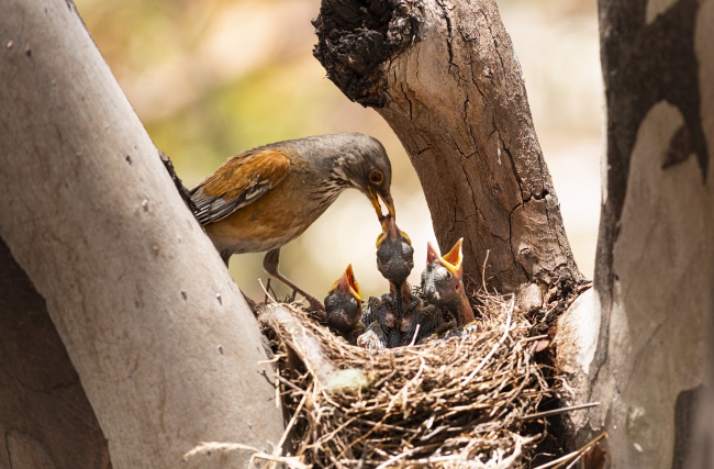 foto:Monica González Pérez  - lo hecho en México