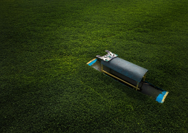 foto:Renato Silvio Dos Santos  - lo hecho en México